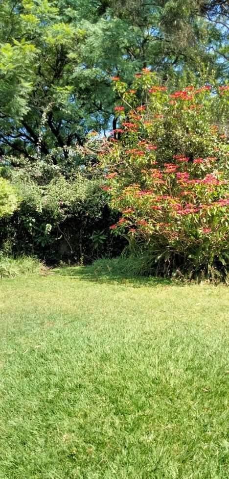 Garden Oasis for KSh 115K