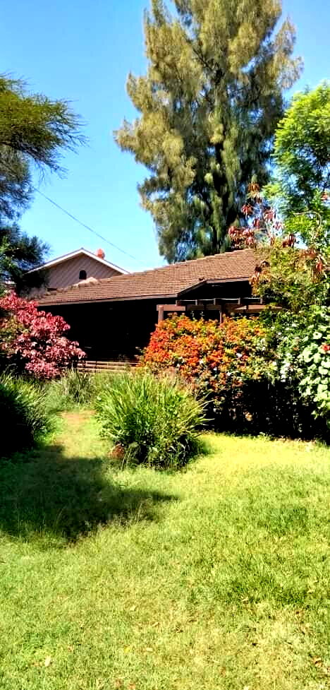 Garden Oasis for KSh 115K