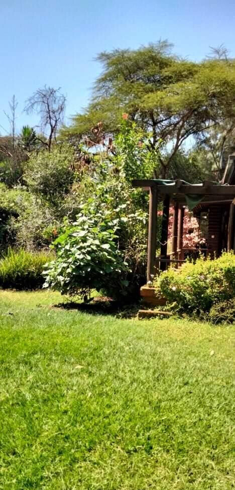 Garden Oasis for KSh 115K