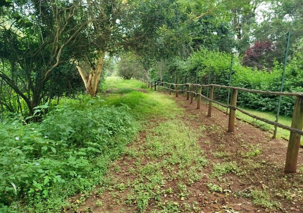2-Acre Garden Oasis in Karen