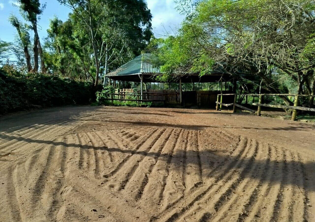 2-Acre Garden Oasis in Karen