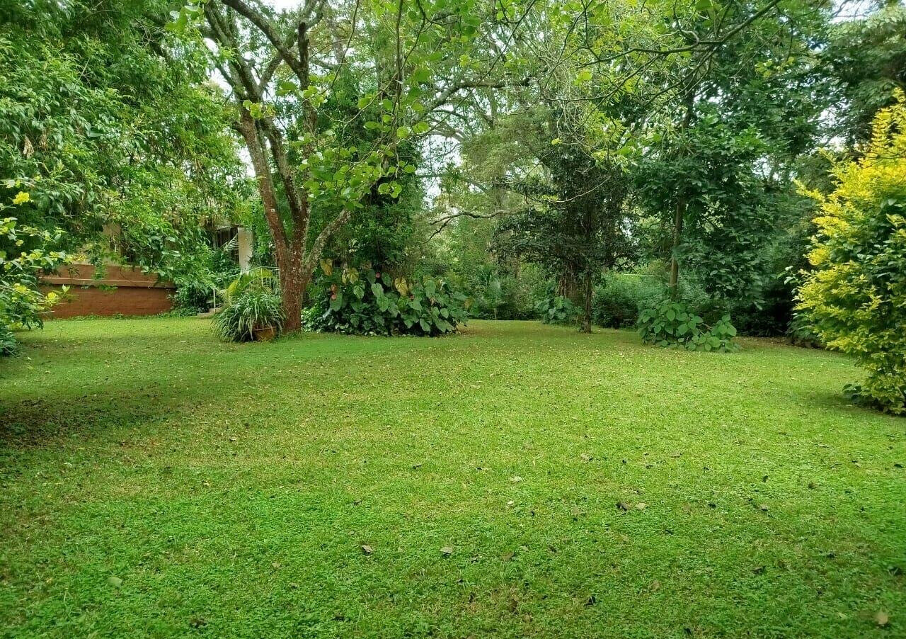2-Acre Garden Oasis in Karen