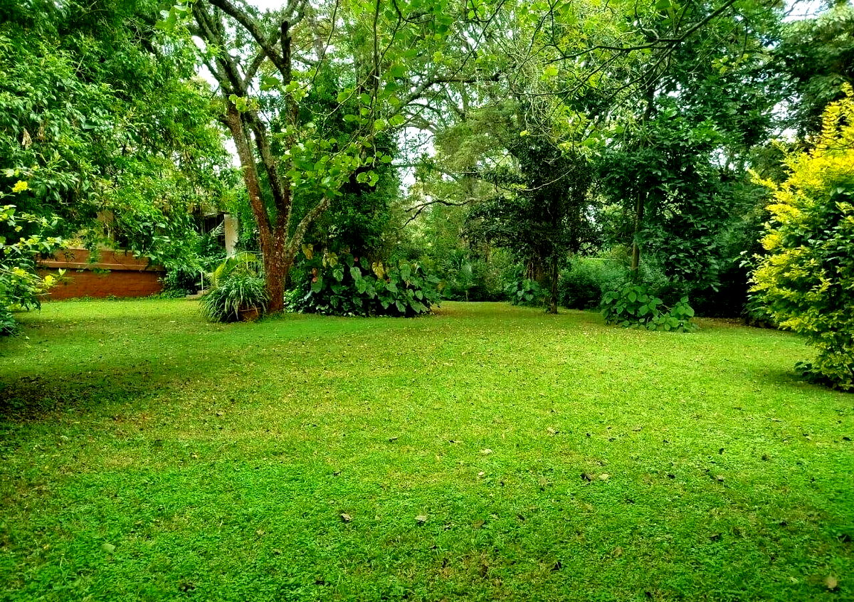 2-Acre Garden Oasis in Karen