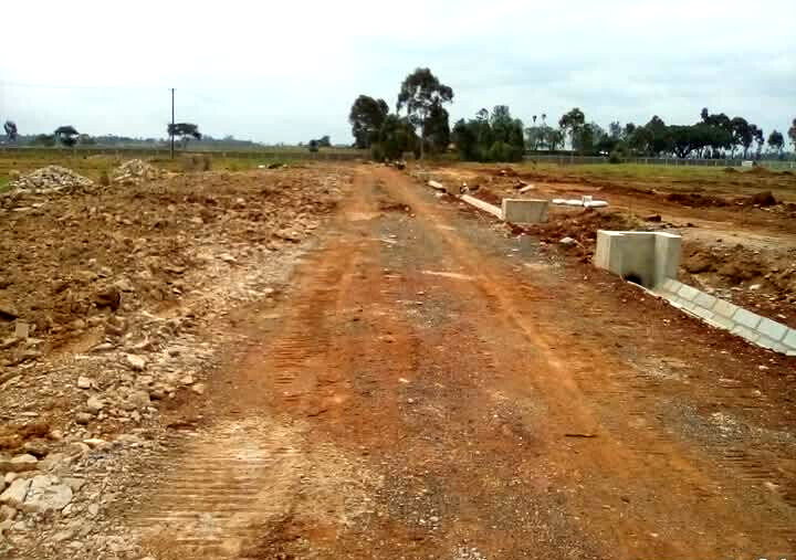 1/4 Acre Serviced Plot in Juja