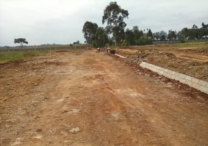 1/4 Acre Serviced Plot in Juja