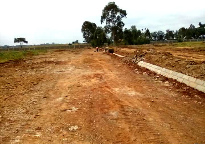1/4 Acre Serviced Plot in Juja