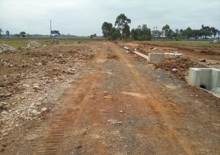 1/4 Acre Serviced Plot in Juja