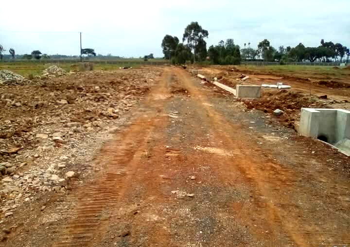 1/4 Acre Serviced Plot in Juja