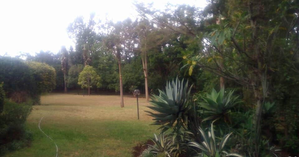 5BR Standalone Townhouse with Jacuzzi & Fireplace - Runda