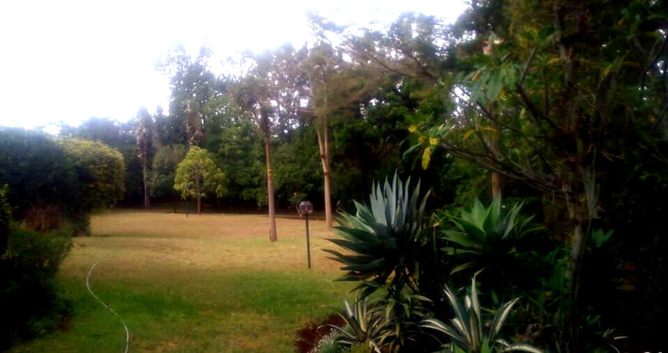 5BR Standalone Townhouse with Jacuzzi & Fireplace - Runda