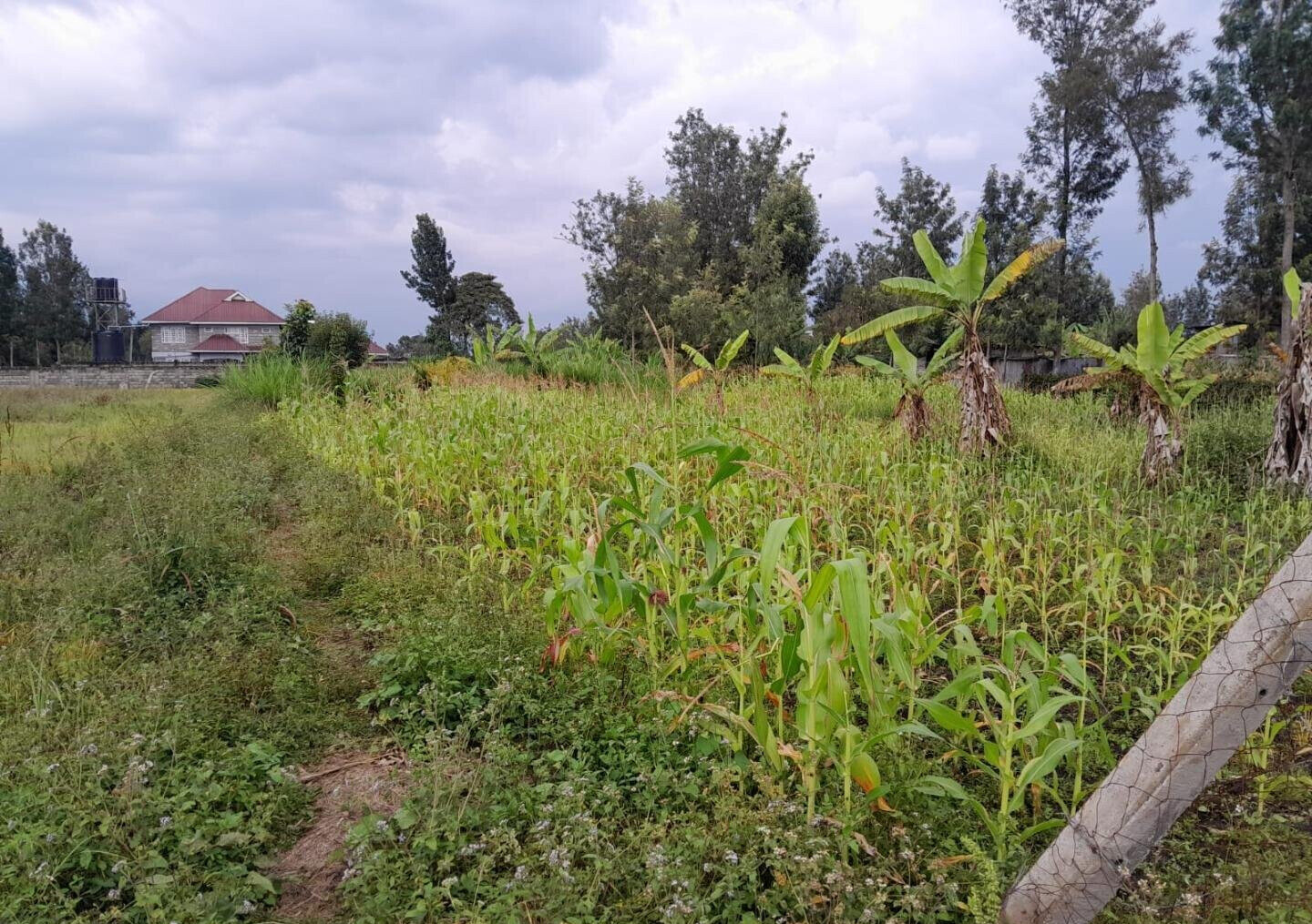 Garden Oasis on 1/4 Acre