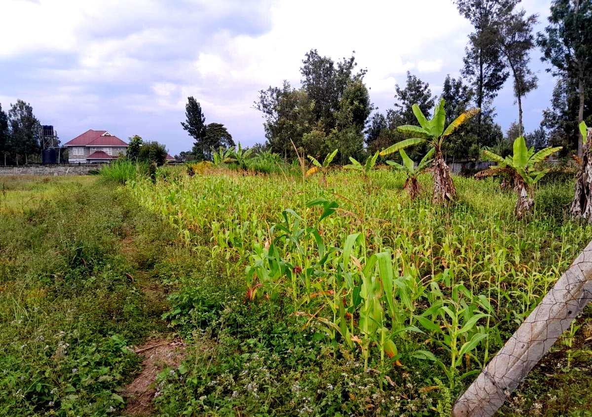 Garden Oasis on 1/4 Acre