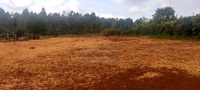 Prime Land for Sale at Thogoto Kikuyu - Image 9