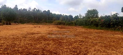 Prime Land for Sale at Thogoto Kikuyu - Image 4