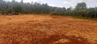 Prime Land for Sale at Thogoto Kikuyu - Image 5