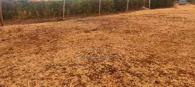 Prime Land for Sale at Thogoto Kikuyu - Image 3