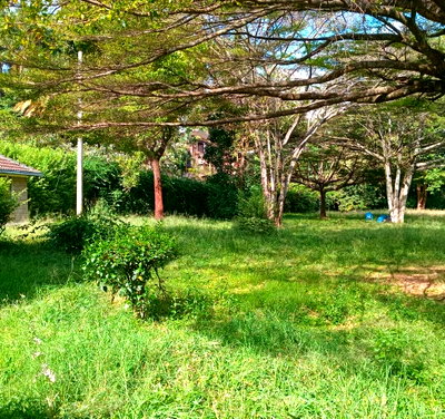 1.1-Acre Lavington Plot with Garden