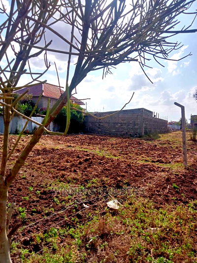 50 by 100 Plot for Sale - Image 3