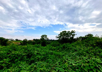 16-Acre RedHill Gem for KSh 200M