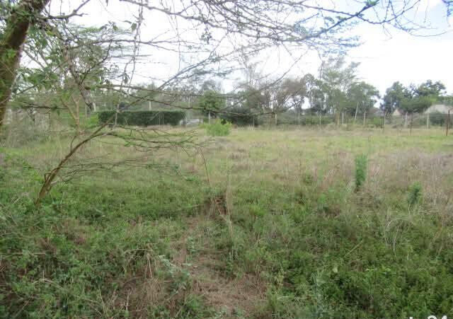 0.5-Acre Plot for KSh 40M