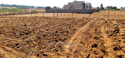 1/4 Plot for Sale in Before Kipkorgot Eldore - Image 1