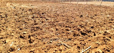 1/4 Plot for Sale in Before Kipkorgot Eldore - Image 2