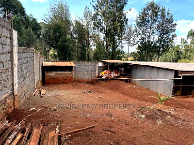Prime Plots For Sale In Kikuyu, Sigona. - Image 3