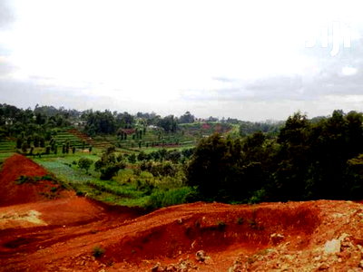 Kikuyu Gitaru 2.5acres To Develop - Image 3