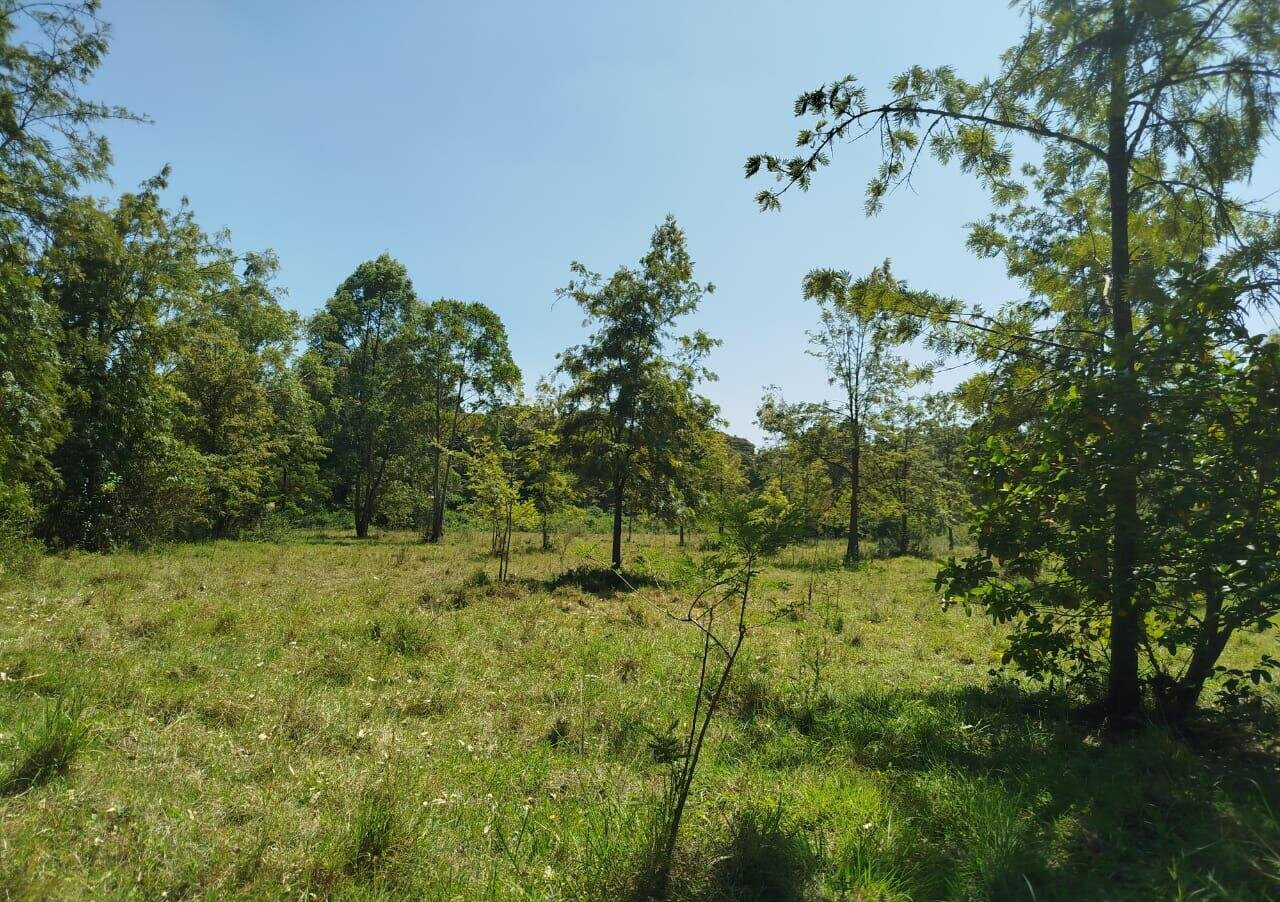 5-Acre Garden Plot in Karen