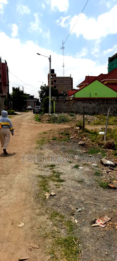 Titled 2pcs of 33*66 Commercial Plot at Kirinyagah Court Kibiku Utawala - Image 2