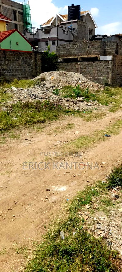 Titled 2pcs of 33*66 Commercial Plot at Kirinyagah Court Kibiku Utawala - Image 3