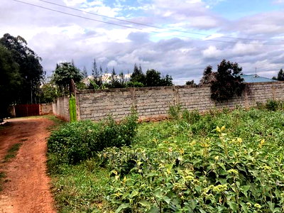 Prime 0.05 Ha Fenced Plot for Sale in Kikuyu,Gikambura. - Image 10