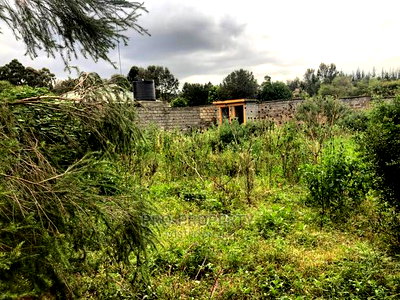 Prime 0.05 Ha Fenced Plot for Sale in Kikuyu,Gikambura. - Image 6