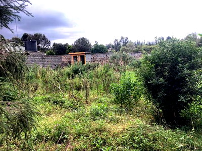 Prime 0.05 Ha Fenced Plot for Sale in Kikuyu,Gikambura. - Image 8