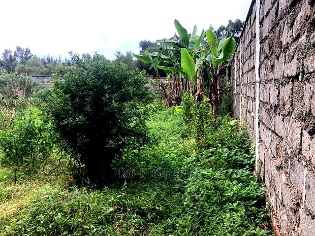 Prime 0.05 Ha Fenced Plot for Sale in Kikuyu,Gikambura.