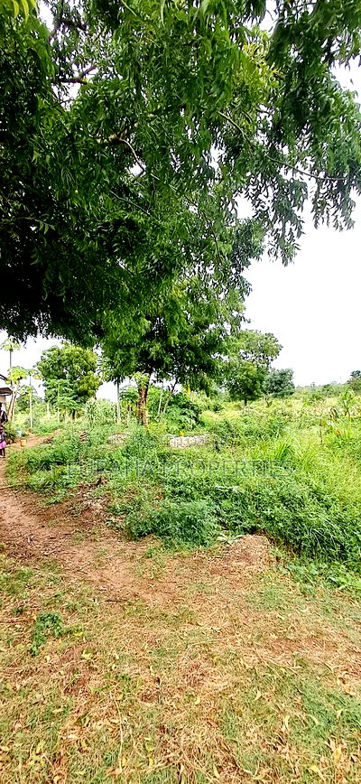 For Sale 4 Acre Prime Land Vipingo - Image 5