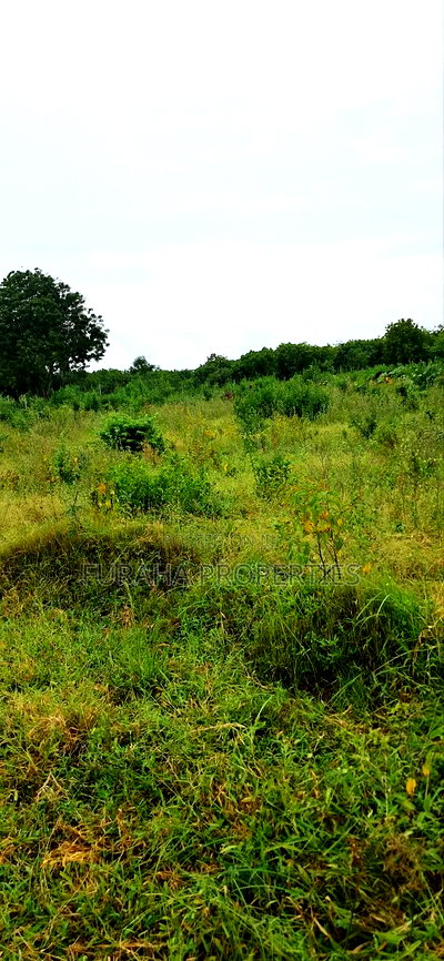 For Sale 4 Acre Prime Land Vipingo - Image 7