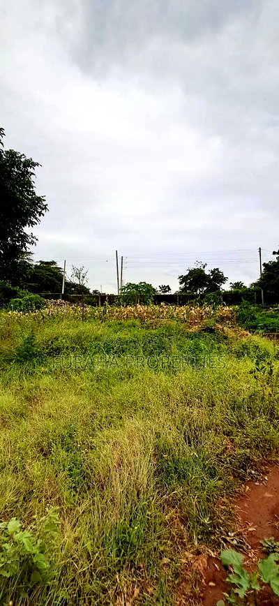 For Sale 4 Acre Prime Land Vipingo - Image 3