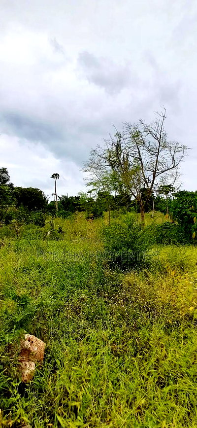 For Sale 4 Acre Prime Land Vipingo - Image 4