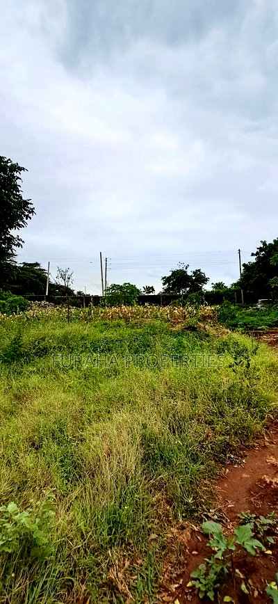 For Sale 4 Acre Prime Land Vipingo - Image 2