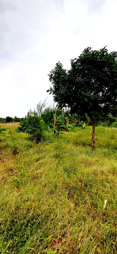 For Sale 4 Acre Prime Land Vipingo - Image 6
