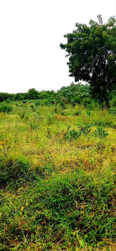 For Sale 4 Acre Prime Land Vipingo - Image 1