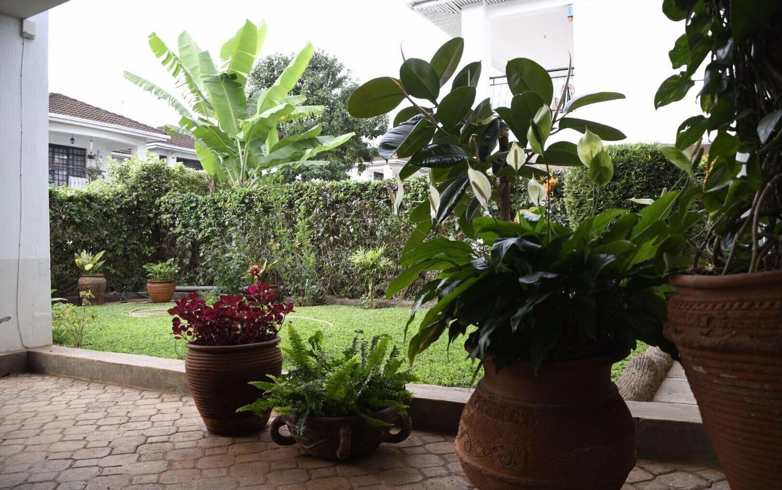 4-Ensuite Townhouse with Pool & Gym in Grevillea Grove - Westlands