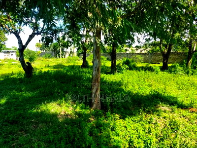 1/8 Acre Plot in Bamburi JCC With Title Deed at 3.5m - Image 2