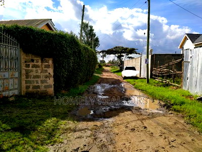 Quarter Acre in Kandisi Few Meters From Rimpa Road Tarmac - Image 7