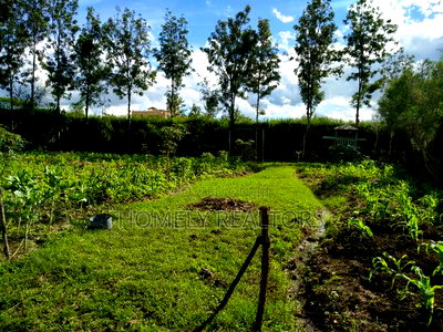 Quarter Acre in Kandisi Few Meters From Rimpa Road Tarmac - Image 4