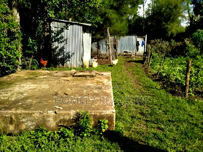 Quarter Acre in Kandisi Few Meters From Rimpa Road Tarmac - Image 3