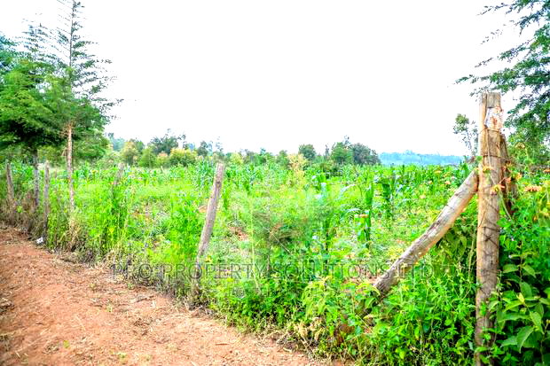 Prime Residential Plot For Sale In Kikuyu, Kamangu