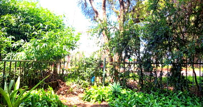 Garden Office Space for Sale