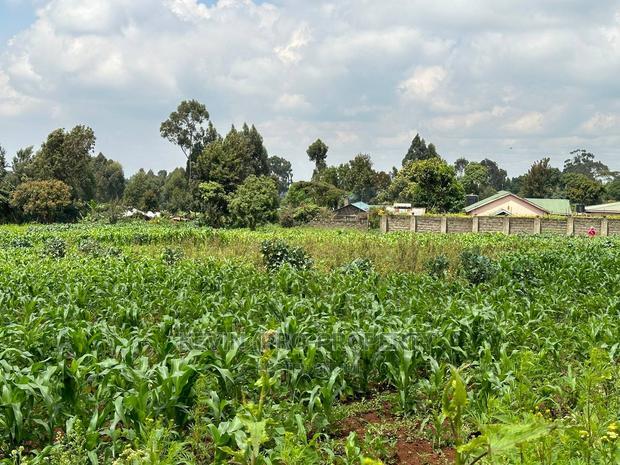 Prime Residential 1 Acre Land in Rironi Near Tilisi Estate